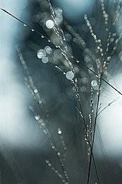 传PSVR2跳票到2023年 将使用AMOLED屏幕